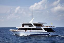 Maldives Liveaboard - Conte Max.